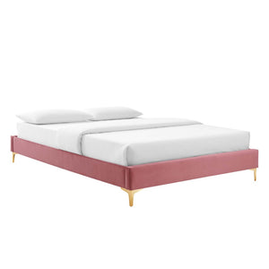 Modway Furniture Sutton Performance Velvet Queen Bed Frame - Elegant, Stain-Resistant Upholstery with Gold Legs Dusty Rose MOD-6275-DUS