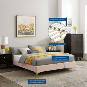 Modway Furniture Sutton Performance Velvet Queen Bed Frame - Elegant, Stain-Resistant Upholstery with Gold Legs Pink MOD-6275-PNK