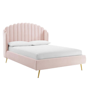 Modway Furniture Lana Performance Velvet Queen Wingback Bed - Glam, Stain-Resistant Upholstery & Gold Legs for Luxury Pink MOD-6282-PNK