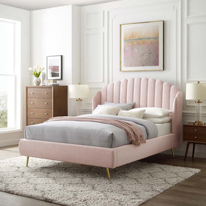 Modway Furniture Lana Performance Velvet Queen Wingback Bed - Glam, Stain-Resistant Upholstery & Gold Legs for Luxury Pink MOD-6282-PNK