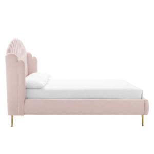 Modway Furniture Lana Performance Velvet Queen Wingback Bed - Glam, Stain-Resistant Upholstery & Gold Legs for Luxury Pink MOD-6282-PNK