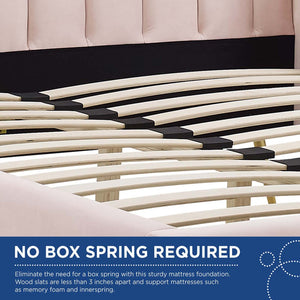 Modway Furniture Lana Performance Velvet Queen Wingback Bed - Glam, Stain-Resistant Upholstery & Gold Legs for Luxury Pink MOD-6282-PNK