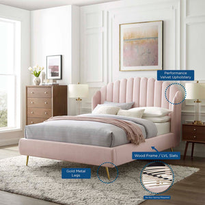 Modway Furniture Lana Performance Velvet Queen Wingback Bed - Glam, Stain-Resistant Upholstery & Gold Legs for Luxury Pink MOD-6282-PNK