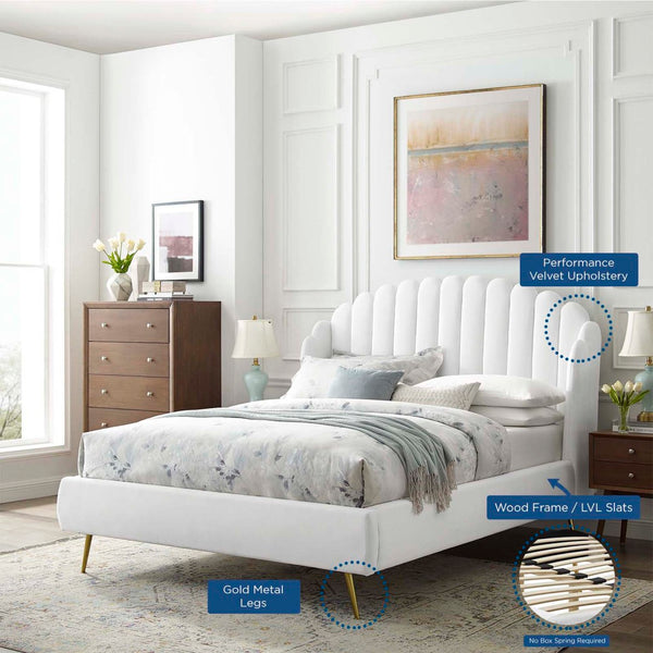 Modway Furniture Lana Performance Velvet Queen Wingback Bed - Glam, Stain-Resistant Upholstery & Gold Legs for Luxury White MOD-6282-WHI