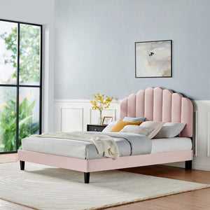 Modway Furniture Daisy Queen Platform Bed - Art Deco Glamour with Scalloped Headboard and Performance Velvet Upholstery Pink MOD-6287-PNK