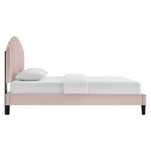Modway Furniture Daisy Queen Platform Bed - Art Deco Glamour with Scalloped Headboard and Performance Velvet Upholstery Pink MOD-6287-PNK