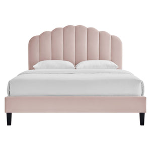 Modway Furniture Daisy Queen Platform Bed - Art Deco Glamour with Scalloped Headboard and Performance Velvet Upholstery Pink MOD-6287-PNK