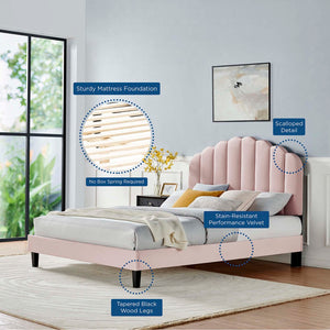 Modway Furniture Daisy Queen Platform Bed - Art Deco Glamour with Scalloped Headboard and Performance Velvet Upholstery Pink MOD-6287-PNK