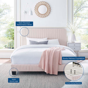 Modway Furniture Celine Channel Tufted Velvet King Platform Bed - Luxurious Upholstery & Sturdy Support for Comfort Pink MOD-6333-PNK