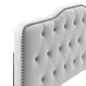 Modway Furniture Sophia Tufted Performance Velvet Twin Headboard - Vintage-Modern Glamour with Adjustable Height Light Gray MOD-6409-LGR