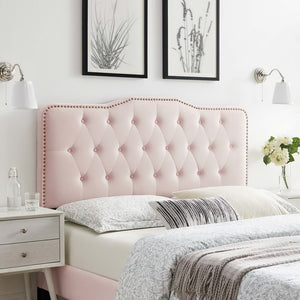 Modway Furniture Sophia Tufted Performance Velvet Twin Headboard - Vintage-Modern Glamour with Adjustable Height Pink MOD-6409-PNK