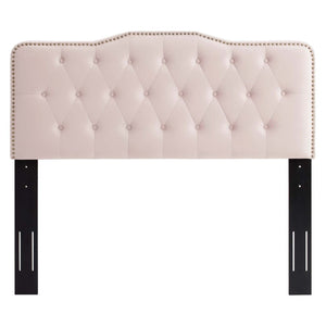 Modway Furniture Sophia Tufted Performance Velvet Twin Headboard - Vintage-Modern Glamour with Adjustable Height Pink MOD-6409-PNK