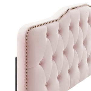 Modway Furniture Sophia Tufted Performance Velvet Twin Headboard - Vintage-Modern Glamour with Adjustable Height Pink MOD-6409-PNK