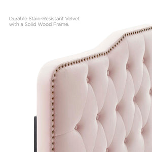Modway Furniture Sophia Tufted Performance Velvet Twin Headboard - Vintage-Modern Glamour with Adjustable Height Pink MOD-6409-PNK