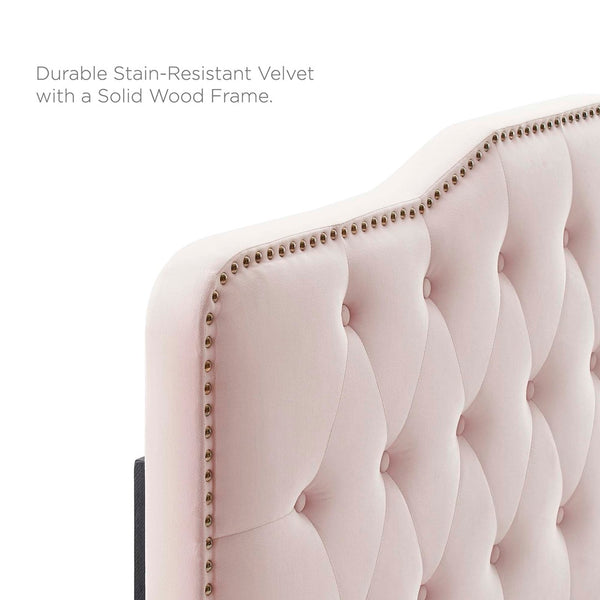 Modway Furniture Sophia Tufted Performance Velvet Twin Headboard - Vintage-Modern Glamour with Adjustable Height Pink MOD-6409-PNK