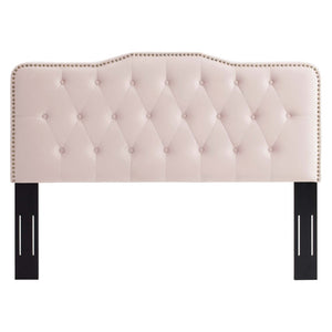 Modway Furniture Sophia Tufted Performance Velvet Headboard – Adjustable Glam for Full/Queen Beds in Elegant Pink MOD-6410-PNK
