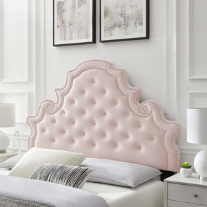 Modway Furniture Diana Tufted Performance Velvet Headboard - Elegant Vintage Glamour for Full and Queen Beds Pink MOD-6417-PNK
