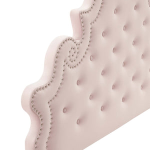 Modway Furniture Diana Tufted Performance Velvet Headboard - Elegant Vintage Glamour for Full and Queen Beds Pink MOD-6417-PNK