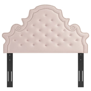 Modway Furniture Gwyneth Tufted Performance Velvet Queen Platform Bed by Modway - Glamorous Elegance for Your Bedroom Pink MOD-6751-PNK