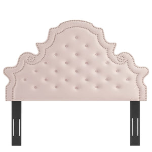 Modway Furniture Gwyneth Tufted Performance Velvet Queen Platform Bed by Modway - Glamorous Elegance for Your Bedroom Pink MOD-6751-PNK