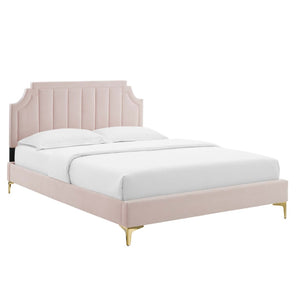 Modway Furniture Sienna Performance Velvet Queen Platform Bed - Stylish, Sturdy Design for Ultimate Comfort & Support Pink MOD-6712-PNK