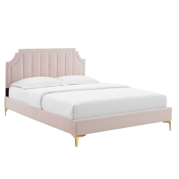 Modway Furniture Sienna Performance Velvet Queen Platform Bed - Stylish, Sturdy Design for Ultimate Comfort & Support Pink MOD-6712-PNK