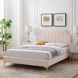 Modway Furniture Sienna Performance Velvet Queen Platform Bed - Stylish, Sturdy Design for Ultimate Comfort & Support Pink MOD-6712-PNK
