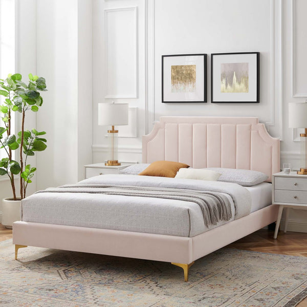Modway Furniture Sienna Performance Velvet Queen Platform Bed - Stylish, Sturdy Design for Ultimate Comfort & Support Pink MOD-6712-PNK