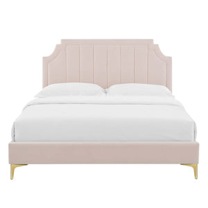 Modway Furniture Sienna Performance Velvet Queen Platform Bed - Stylish, Sturdy Design for Ultimate Comfort & Support Pink MOD-6712-PNK