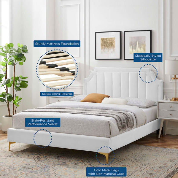 Modway Furniture Sienna Performance Velvet Queen Platform Bed - Stylish, Sturdy Design for Ultimate Comfort & Support White MOD-6712-WHI