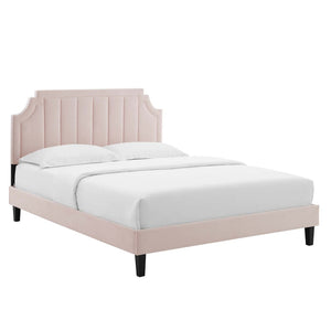 Modway Furniture Sienna Performance Velvet Queen Platform Bed - Luxurious Stain-Resistant Glam Deco Design Upgrade Pink MOD-6714-PNK