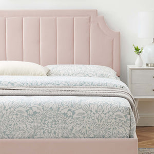 Modway Furniture Sienna Performance Velvet Queen Platform Bed - Luxurious Stain-Resistant Glam Deco Design Upgrade Pink MOD-6714-PNK