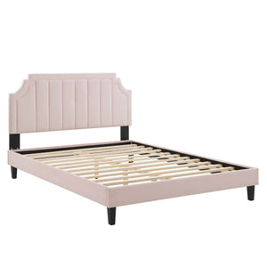 Modway Furniture Sienna Performance Velvet Queen Platform Bed - Luxurious Stain-Resistant Glam Deco Design Upgrade Pink MOD-6714-PNK