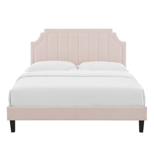 Modway Furniture Sienna Performance Velvet Queen Platform Bed - Luxurious Stain-Resistant Glam Deco Design Upgrade Pink MOD-6714-PNK