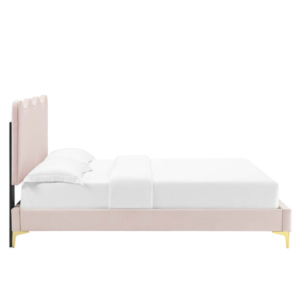 Modway Furniture Current Performance Velvet Twin Platform Bed - Coastal Elegance, Stain-Resistant, Gold Legs, 800 lbs Capacity MOD-6727-PNK