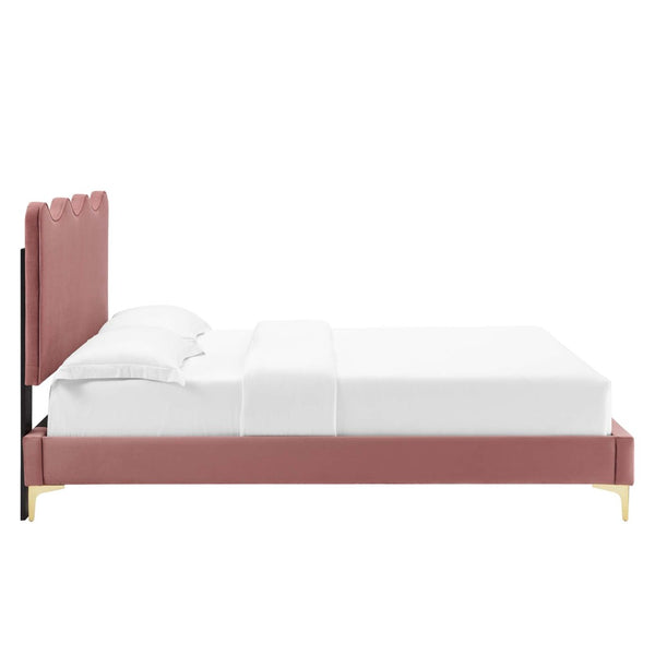 Modway Furniture Current Performance Velvet Full Platform Bed - Stylish Scalloped Headboard with Gold Legs for Modern Rooms Dusty Rose MOD-6730-DUS