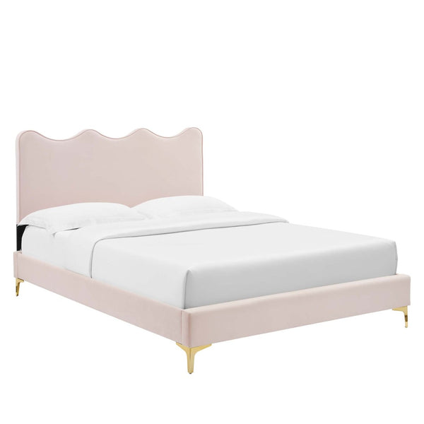 Modway Furniture Current Performance Velvet Full Platform Bed - Stylish Scalloped Headboard with Gold Legs for Modern Rooms Pink MOD-6730-PNK