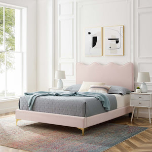 Modway Furniture Current Performance Velvet Full Platform Bed - Stylish Scalloped Headboard with Gold Legs for Modern Rooms Pink MOD-6730-PNK