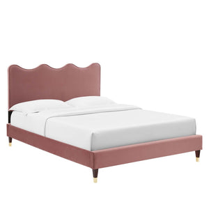 Modway Furniture Current Performance Velvet Queen Platform Bed by Modway - Elegant Coastal Design for Modern Bedrooms Dusty Rose MOD-6734-DUS