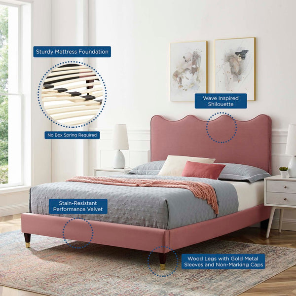 Modway Furniture Current Performance Velvet Queen Platform Bed by Modway - Elegant Coastal Design for Modern Bedrooms Dusty Rose MOD-6734-DUS
