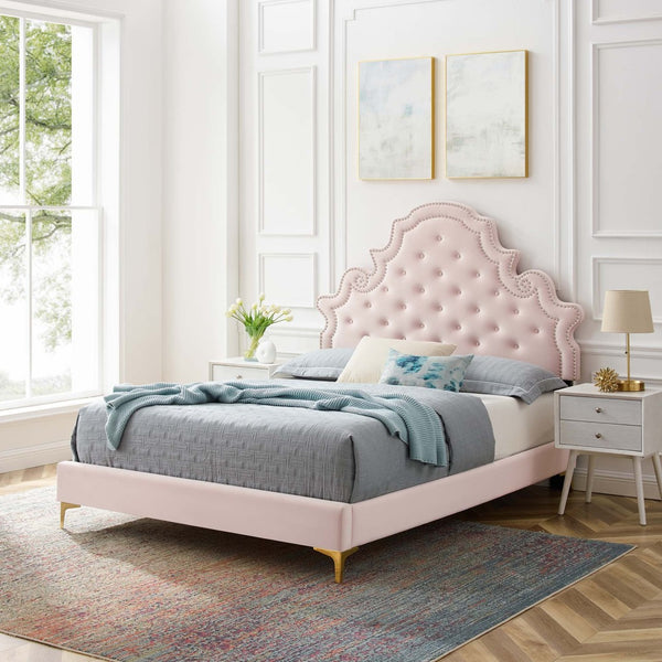Modway Furniture Gwyneth Tufted Performance Velvet Queen Platform Bed by Modway - Glamorous Elegance for Your Bedroom Pink MOD-6751-PNK