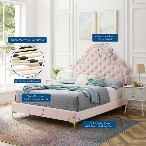 Modway Furniture Gwyneth Tufted Performance Velvet Queen Platform Bed by Modway - Glamorous Elegance for Your Bedroom Pink MOD-6751-PNK