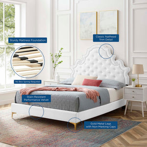 Modway Furniture Gwyneth Tufted Performance Velvet Queen Platform Bed by Modway - Glamorous Elegance for Your Bedroom White MOD-6751-WHI