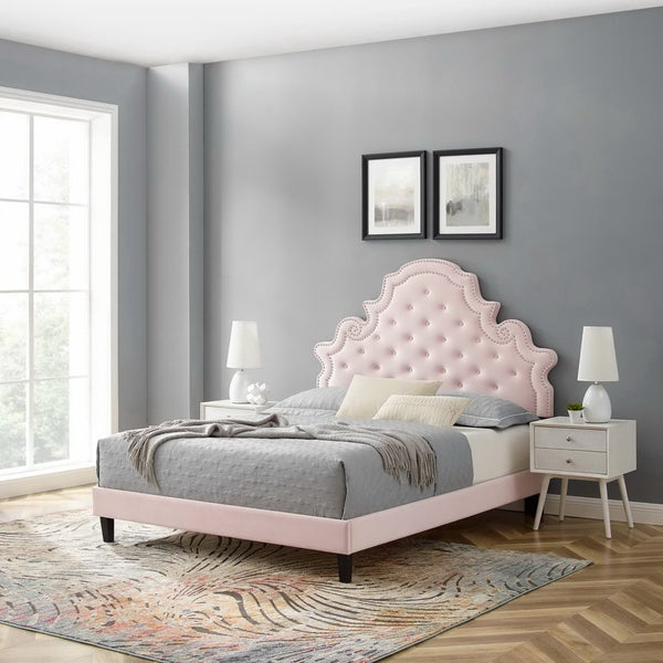 Modway Furniture Gwyneth Tufted Performance Velvet Queen Platform Bed - Luxurious Design & Supportive Comfort Pink MOD-6753-PNK