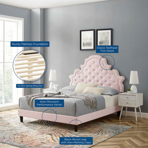 Modway Furniture Gwyneth Tufted Performance Velvet Queen Platform Bed - Luxurious Design & Supportive Comfort Pink MOD-6753-PNK