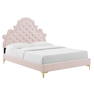 Modway Furniture Gwyneth Tufted Performance Velvet Full Platform Bed - Luxurious Comfort with Timeless Glamour Design Pink MOD-6757-PNK