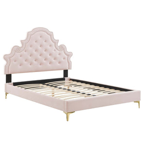 Modway Furniture Gwyneth Tufted Performance Velvet Full Platform Bed - Luxurious Comfort with Timeless Glamour Design Pink MOD-6757-PNK