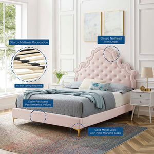 Modway Furniture Gwyneth Tufted Performance Velvet Full Platform Bed - Luxurious Comfort with Timeless Glamour Design Pink MOD-6757-PNK