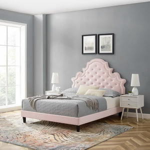 Modway Furniture Gwyneth Tufted Performance Velvet Full Platform Bed – Luxurious Design with Sturdy Support and Comfort Pink MOD-6759-PNK