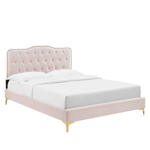 Modway Furniture Amber Performance Velvet Queen Platform Bed - Luxe Pink Upholstered Design with Button Tufting & Support MOD-6775-PNK